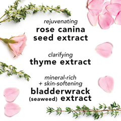 Facial Spray Skin Care Toner with Aloe Herbs and Rosewater, 8 Fl Oz