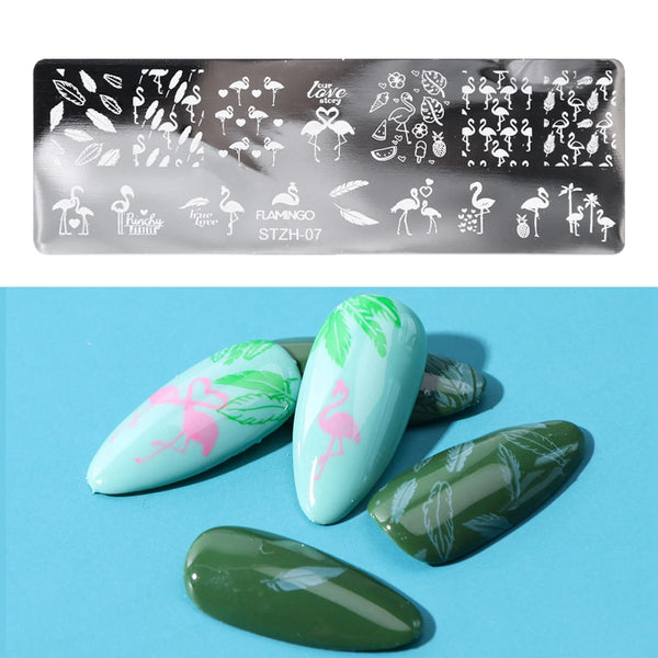 Nail Art Stamper, Nail Stamper Kit, Nail Stamping Plate Clear Silicone Nail Stamper French Tip Nail Stamp with Template Scraper Nail Plates,Stamper for Nails with 5PCS Stamping Plates