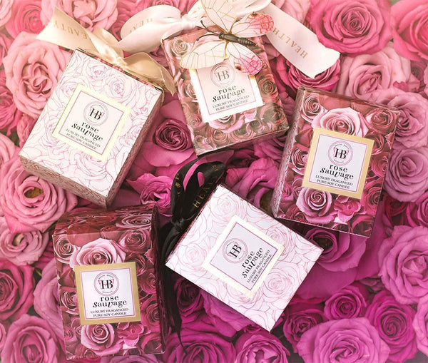 HB Botanicals Luxury Candle Rose Sauvage Wild Rose Highly Scented Soy Candle with Rosé Wax. Clean Burn in 7.5 Oz Frosted Gold Glass Gold Embossed Gift Box. Safe Cotton Wick