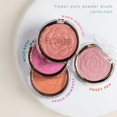 Flower Pots Powder Blush - Sweet Pea
