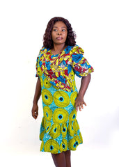 Exciting Traditional Multicolored Dress